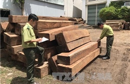 Kon Tum phát hiện 2 điểm tập kết gỗ lậu tại xã Đăk Trăm